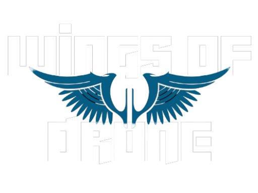 wingsofdrones.com