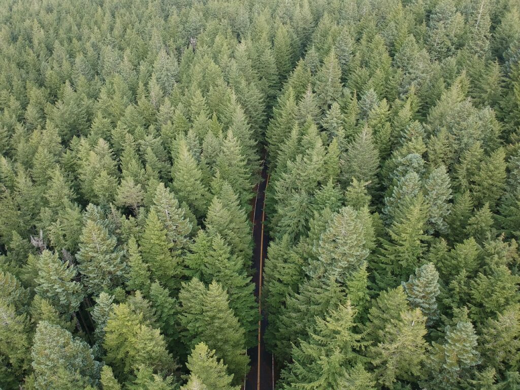 Drone Heights